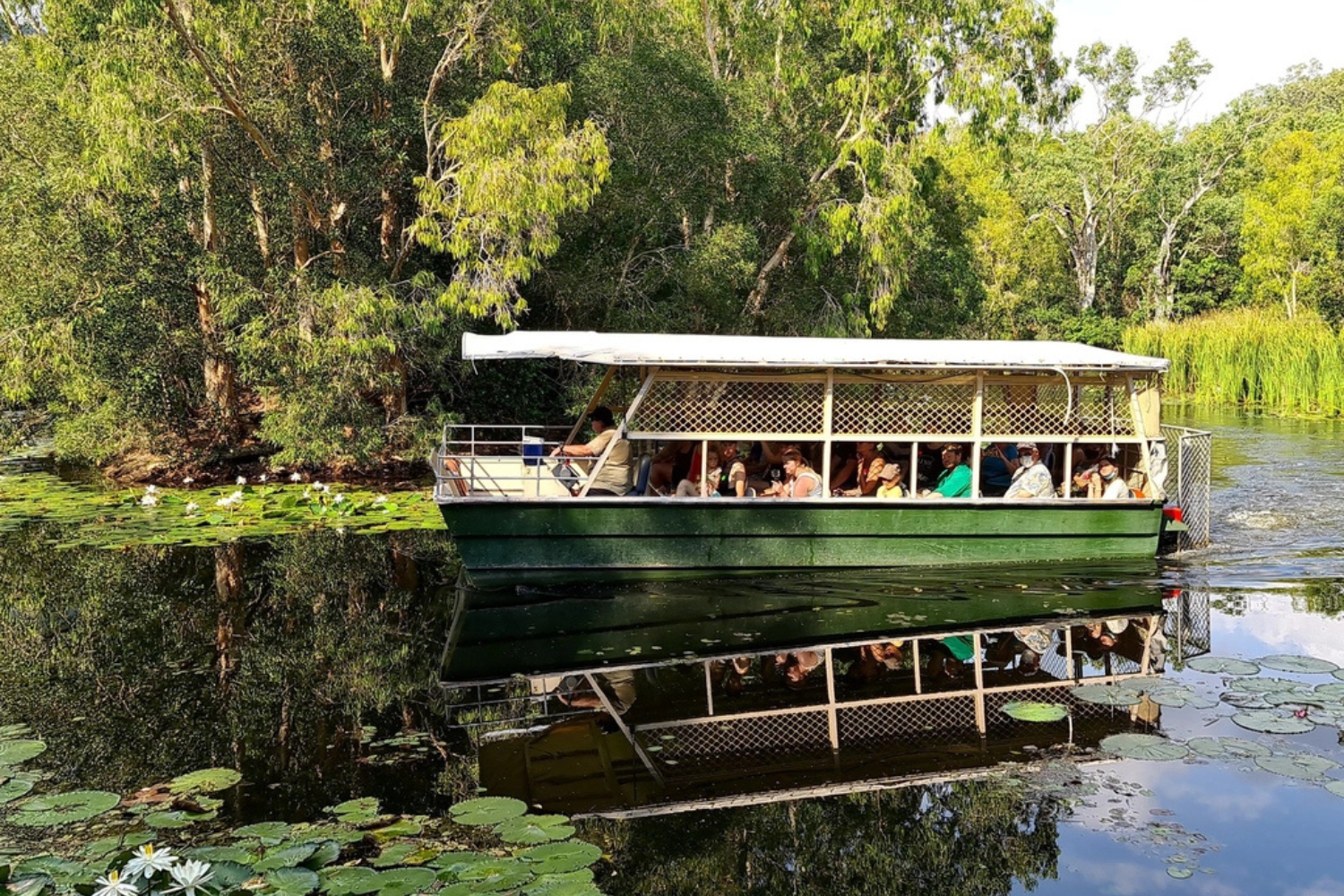 Hartley_s 3 Hartley's Crocodile Adventures, Cairns – Thrilling boat ride adventure through the crocodile-infested waters, surrounded by lush vegetation.