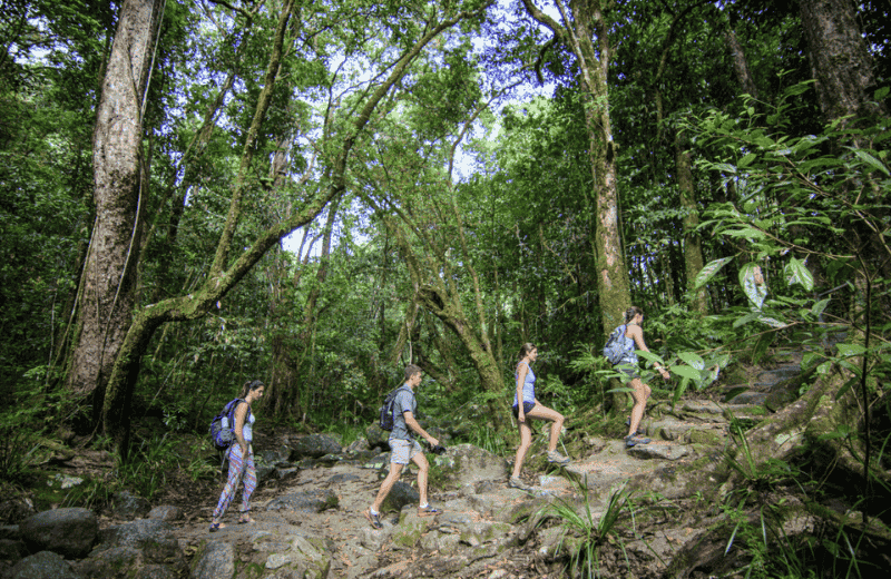 A group of friends in a Private 1 day tour of the Daintree Rainforest with Far North Escapes