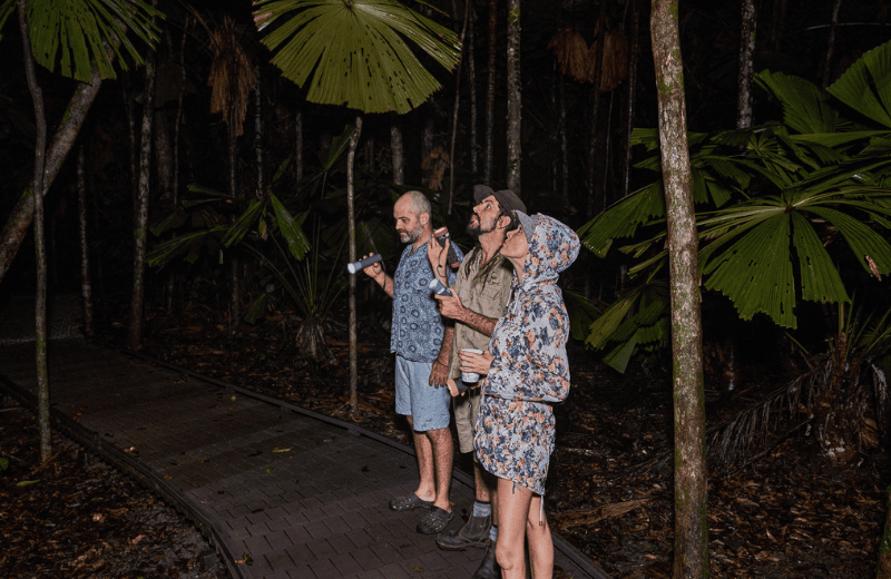 Kano of Far North Escapes explaining the flora and fauna of the Daintree Rainforest at night in a night walk tour with guests